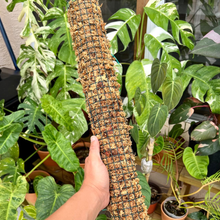 Kép betöltése a galériamegjelenítőbe: Mohakaró készítés - workshop - november 5. 18:00 - Tropical Home