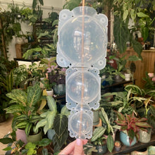 Kép betöltése a galériamegjelenítőbe: Műanyag burok gyökereztetéshez - 3 méretben - Tropical Home