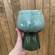 Kép betöltése a galériamegjelenítőbe: _Kerámia kaspó "Mundy" 9cm - Két színben - Tropical Home