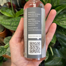 Kép betöltése a galériamegjelenítőbe: Tillandsia spray - Tropical Home