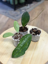 Kép betöltése a galériamegjelenítőbe: Last Day Flash Sale - 3. csomag -35% kedvezmény