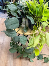 Kép betöltése a galériamegjelenítőbe: Last Day Flash Sale - 5. csomag -35% kedvezmény