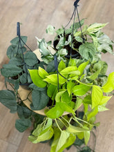 Kép betöltése a galériamegjelenítőbe: Last Day Flash Sale - 5. csomag -35% kedvezmény