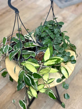 Kép betöltése a galériamegjelenítőbe: Last Day Flash Sale - 7. csomag -35% kedvezmény