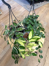 Kép betöltése a galériamegjelenítőbe: Last Day Flash Sale - 7. csomag -35% kedvezmény