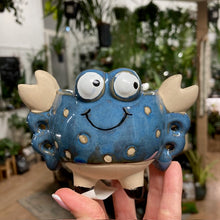 Kép betöltése a galériamegjelenítőbe: _Mini kaspó "Tengeri herkentyűk" - 9 féle - Tropical Home