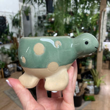 Kép betöltése a galériamegjelenítőbe: _Mini kaspó "Tengeri herkentyűk" - 9 féle - Tropical Home