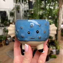 Kép betöltése a galériamegjelenítőbe: _Mini kaspó "Tengeri herkentyűk" - 9 féle - Tropical Home