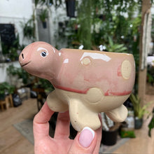 Kép betöltése a galériamegjelenítőbe: _Mini kaspó "Tengeri herkentyűk" - 9 féle - Tropical Home