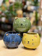 Kép betöltése a galériamegjelenítőbe: _Cat kerámia kaspó, többféle - Tropical Home