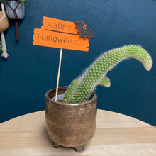 Kép betöltése a galériamegjelenítőbe: Szúróka - Halloween - Tropical Home