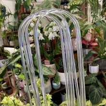 Kép betöltése a galériamegjelenítőbe: Íves növénytámasz kúszónövényeknek - 45cm - Tropical Home