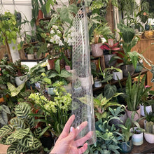 Kép betöltése a galériamegjelenítőbe: Műanyag váz mohakaróhoz - 55cm - Tropical Home