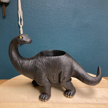 Kép betöltése a galériamegjelenítőbe: _Mini dinoszaurusz kaspó - Többféle - LIMITÁLT SZÁMBAN - Tropical Home