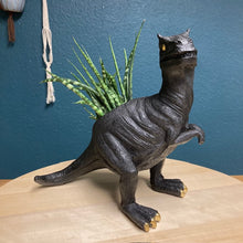 Kép betöltése a galériamegjelenítőbe: _Mini dinoszaurusz kaspó - Többféle - LIMITÁLT SZÁMBAN - Tropical Home