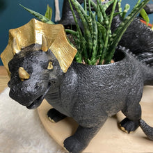 Kép betöltése a galériamegjelenítőbe: _Mini dinoszaurusz kaspó - Többféle - LIMITÁLT SZÁMBAN - Tropical Home