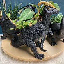 Kép betöltése a galériamegjelenítőbe: _Mini dinoszaurusz kaspó - Többféle - LIMITÁLT SZÁMBAN - Tropical Home