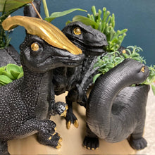 Kép betöltése a galériamegjelenítőbe: _Mini dinoszaurusz kaspó - Többféle - LIMITÁLT SZÁMBAN - Tropical Home