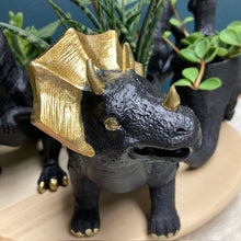 Kép betöltése a galériamegjelenítőbe: _Mini dinoszaurusz kaspó - Többféle - LIMITÁLT SZÁMBAN - Tropical Home