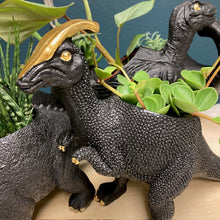 Kép betöltése a galériamegjelenítőbe: _Mini dinoszaurusz kaspó - Többféle - LIMITÁLT SZÁMBAN - Tropical Home