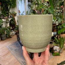 Kép betöltése a galériamegjelenítőbe: _Kerámia kaspó "Ares" 11cm - Két színben - Tropical Home