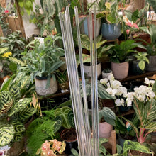 Kép betöltése a galériamegjelenítőbe: Növénytámasz kúszónövényeknek - 40cm - Tropical Home