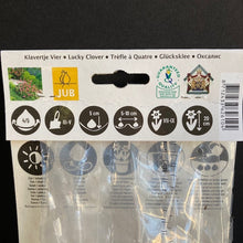 Kép betöltése a galériamegjelenítőbe: Oxalis deppei "Iron cross" hagyma - Tropical Home