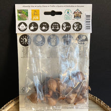 Kép betöltése a galériamegjelenítőbe: Oxalis deppei "Iron cross" hagyma - Tropical Home