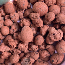 Kép betöltése a galériamegjelenítőbe: Agyaggolyó 8-16mm - LECA 8-16mm - Tropical Home