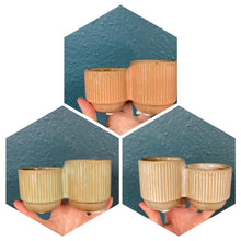 Kép betöltése a galériamegjelenítőbe: _Mini kaspó páros - 3 színben - Tropical Home