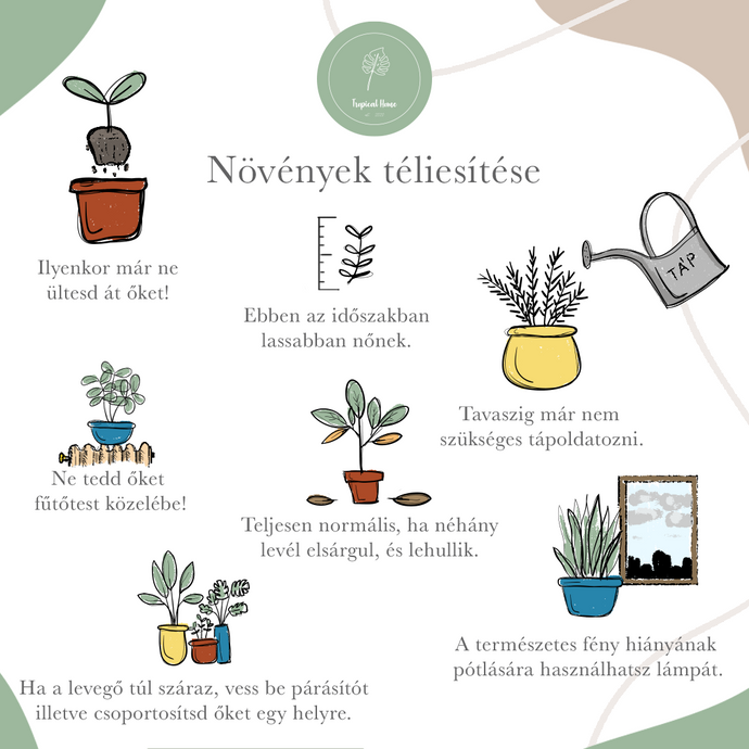 Növénygondozás télen