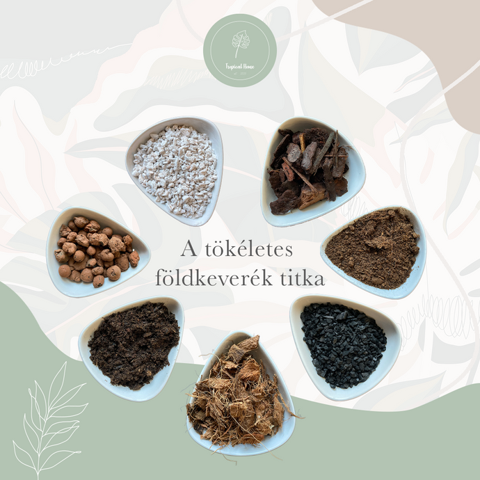 Milyen a megfelelő földkeverék?