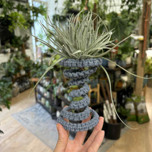 Makramé és Tillandsia workshop  - szeptember 16. kedd 18:00 - Tropical Home 