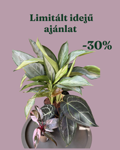 Kép betöltése a galériamegjelenítőbe: Növénycsomag 5. - 30% kedvezmény
