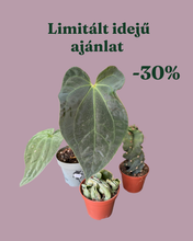 Kép betöltése a galériamegjelenítőbe: Növénycsomag 3. - 30% kedvezmény
