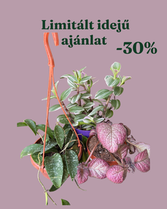 Növénycsomag 1. - 30% kedvezmény