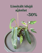 Kép betöltése a galériamegjelenítőbe: Növénycsomag 4. - 30% kedvezmény
