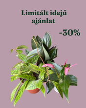 Kép betöltése a galériamegjelenítőbe: Növénycsomag 9. - 30% kedvezmény
