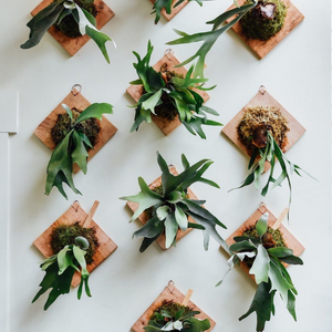 Páfránykötöző workshop - szeptember 3. 18:30 - Tropical Home 