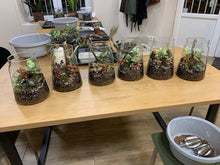 Kép betöltése a galériamegjelenítőbe: Florárium építés-  workshop - október 11. szombat 10:30
