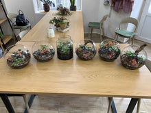 Kép betöltése a galériamegjelenítőbe: Florárium építés-  workshop - november 12. 18:00
