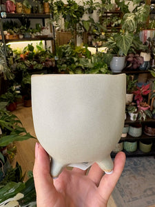 _Elly kaspó lábakkal 9cm - 3 színben - Tropical Home 