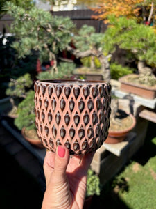 _Kaspó “Gemma” 9cm - 4 színben - Tropical Home 