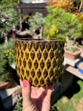 Kép betöltése a galériamegjelenítőbe: _Kaspó “Gemma” 9cm - 4 színben - Tropical Home 
