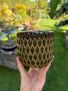 _Kaspó “Gemma” 9cm - 4 színben - Tropical Home 