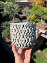 Kép betöltése a galériamegjelenítőbe: _Kaspó “Gemma” 9cm - 4 színben - Tropical Home 
