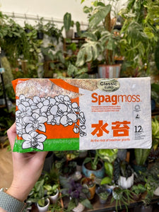 Sphagnum moha Prémium - Sphagnum moss - Tropical Home 