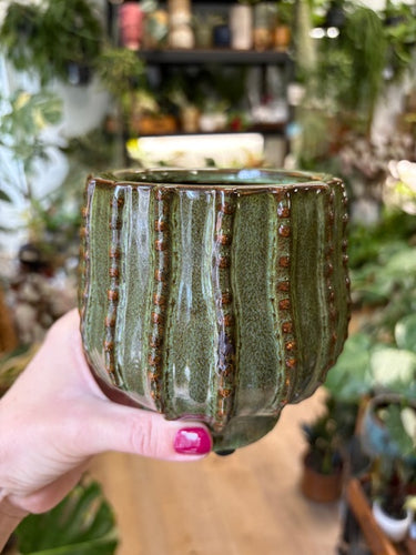 _Cathy kerámia kaspó zöld 9cm - Tropical Home 