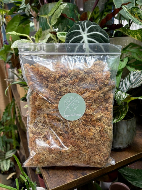 Sphagnum moha Prémium, 2 liter - Sphagnum moss