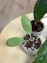 Kép betöltése a galériamegjelenítőbe: Last Day Flash Sale - 3. csomag -35% kedvezmény
